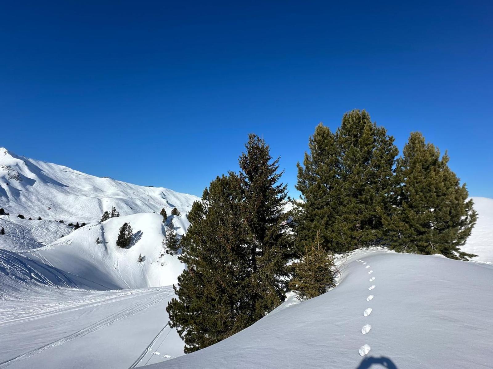 - - Les Coches - 7 Personnes - Pieds Des Pistes *