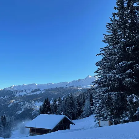 Appartement - La Plagne - Les Coches - 7 Personnes - Pieds Des Pistes Exterior photo